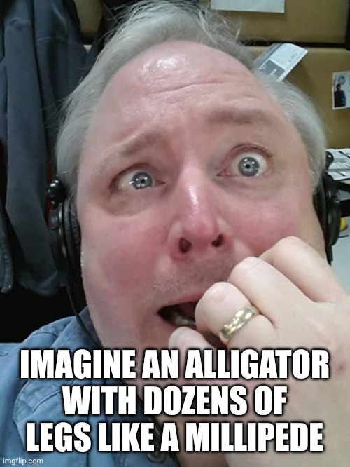 Paranoid Fear Guy | IMAGINE AN ALLIGATOR WITH DOZENS OF LEGS LIKE A MILLIPEDE | image tagged in paranoid fear guy | made w/ Imgflip meme maker