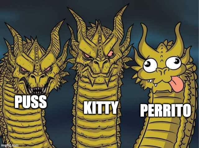 Hydra | KITTY; PERRITO; PUSS | image tagged in hydra | made w/ Imgflip meme maker
