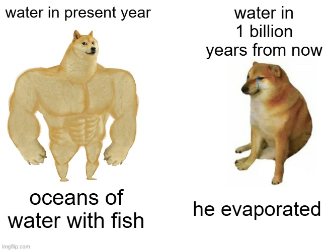 this is how future look like... | water in present year; water in 1 billion years from now; oceans of water with fish; he evaporated | image tagged in buff doge vs cheems,water,future,earth,solar system,ocean | made w/ Imgflip meme maker