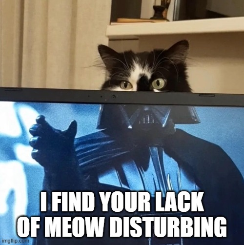 Darth Meow | I FIND YOUR LACK OF MEOW DISTURBING | image tagged in star wars | made w/ Imgflip meme maker