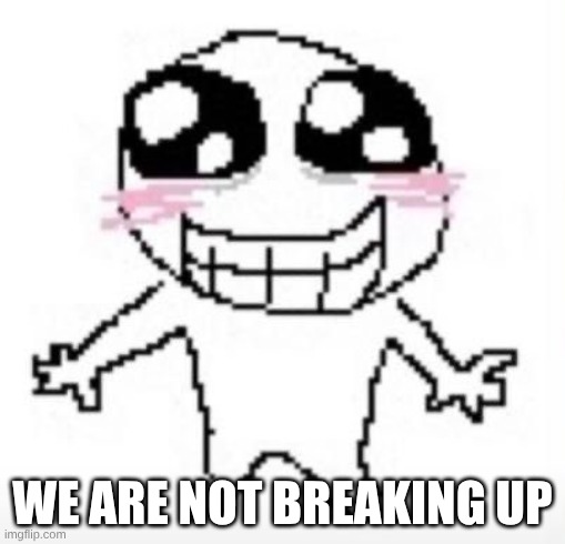 Yippee! | WE ARE NOT BREAKING UP | image tagged in yippee | made w/ Imgflip meme maker