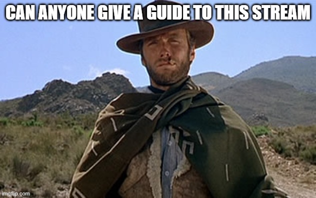 I heard newgens get blasted here uhoh | CAN ANYONE GIVE A GUIDE TO THIS STREAM | image tagged in clint eastwood - western | made w/ Imgflip meme maker