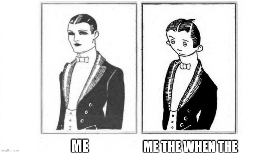 Just something a little nonsensical | ME; ME THE WHEN THE | image tagged in what you think you look like vs what you actually look like | made w/ Imgflip meme maker