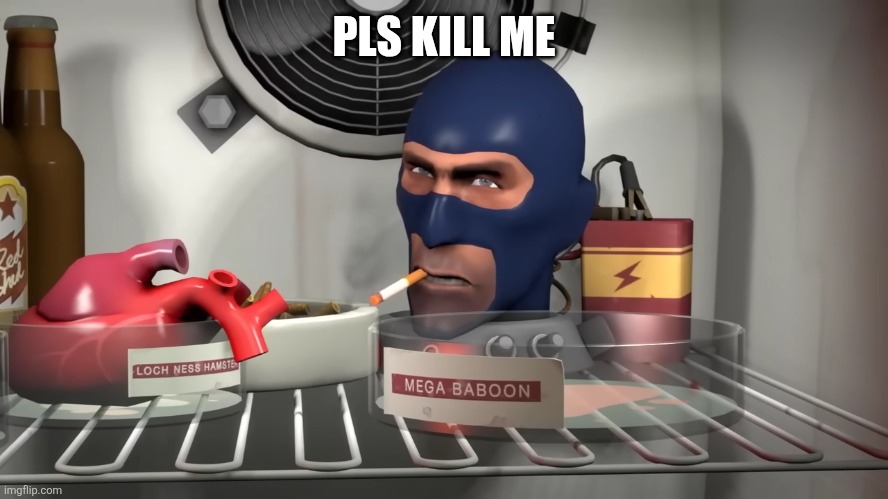 TF2 Spy Kill me | PLS KILL ME | image tagged in tf2 spy kill me | made w/ Imgflip meme maker