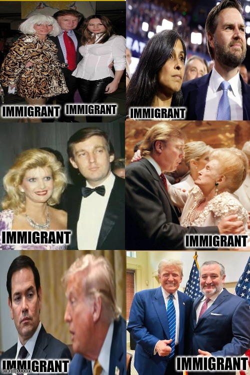 The President And Vice President Are Both Married To Immigrants And Trump's Mother Was An Immigrant | IMMIGRANT; IMMIGRANT; IMMIGRANT; IMMIGRANT; IMMIGRANT; IMMIGRANT; IMMIGRANT | image tagged in memes,drake hotline bling,conservative hypocrisy,hypocrites,liars,immigrants | made w/ Imgflip meme maker