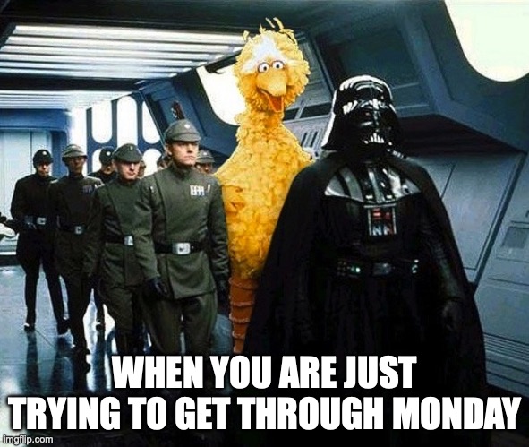 get through monday | WHEN YOU ARE JUST TRYING TO GET THROUGH MONDAY | image tagged in vader big bird | made w/ Imgflip meme maker