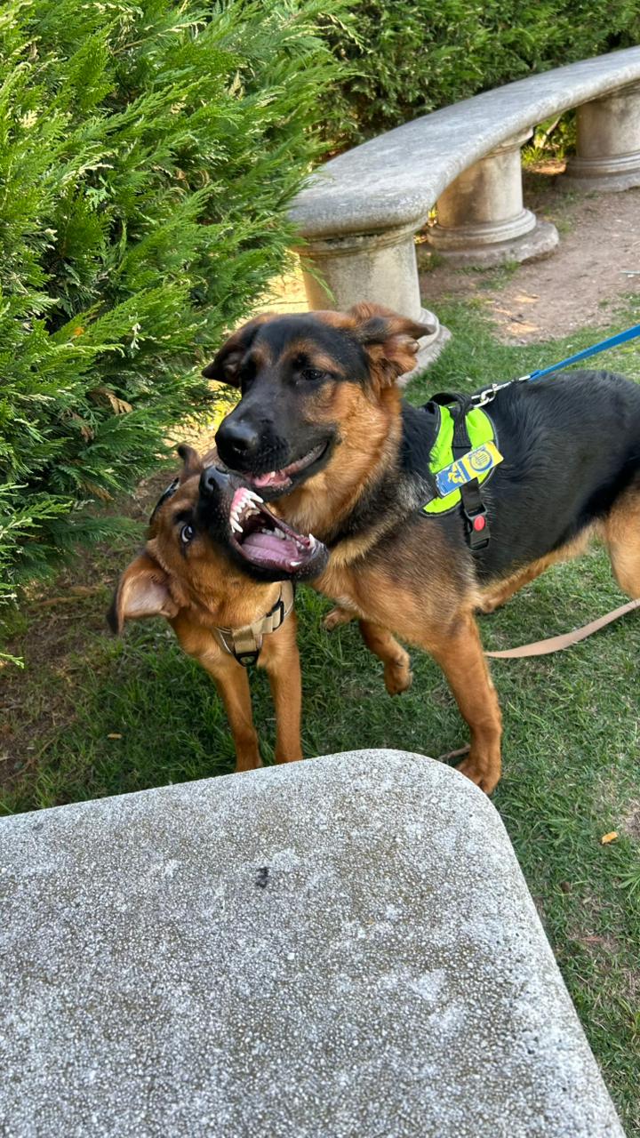 ruben y sista Blank Meme Template