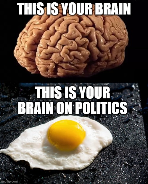 Politics is literal brainrot | THIS IS YOUR BRAIN; THIS IS YOUR BRAIN ON POLITICS | image tagged in this is your brain | made w/ Imgflip meme maker