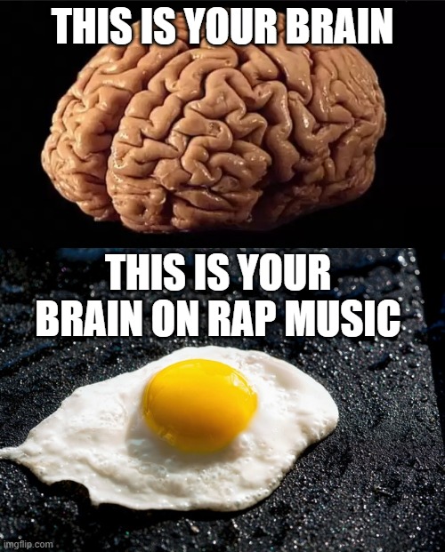 Rap Music is Making People Dumb | THIS IS YOUR BRAIN; THIS IS YOUR BRAIN ON RAP MUSIC | image tagged in this is your brain | made w/ Imgflip meme maker