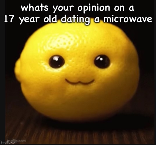 niche lemon | whats your opinion on a 17 year old dating a microwave | image tagged in niche lemon | made w/ Imgflip meme maker