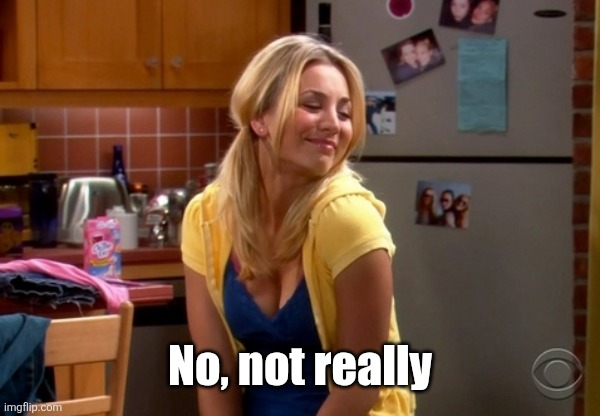 Penny Well I try | No, not really | image tagged in penny well i try | made w/ Imgflip meme maker