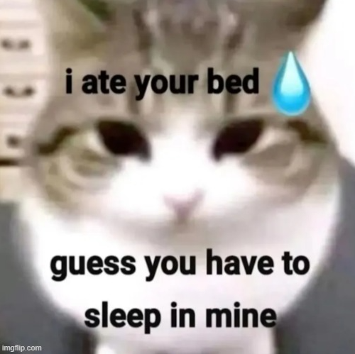 rizz line Blank Meme Template