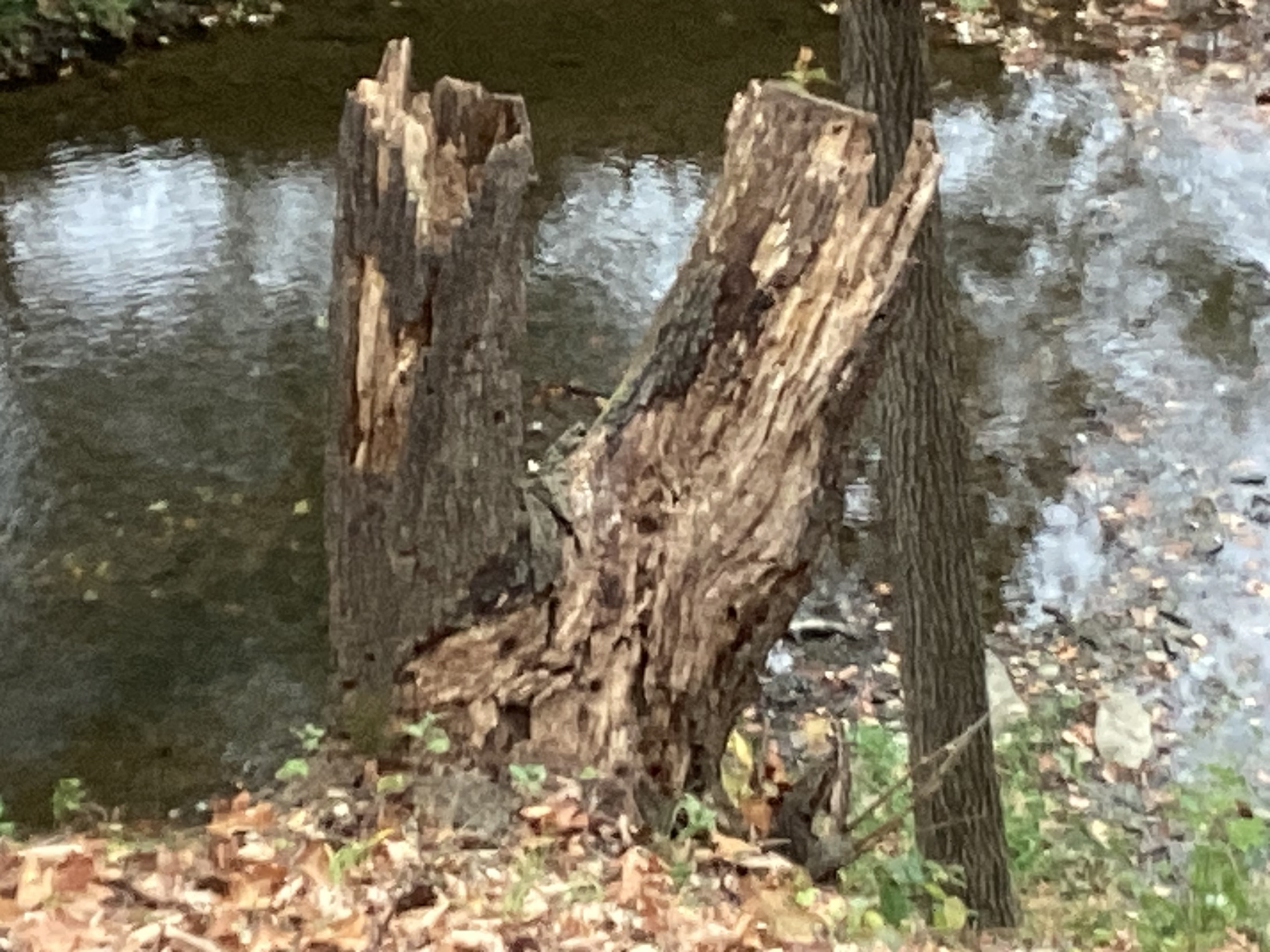 High Quality split up Blank Meme Template