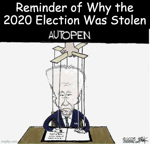 Reminder of Why the 2020 Election Was Stolen | Reminder of Why the 2020 Election Was Stolen | image tagged in political,reposts,autopen | made w/ Imgflip meme maker