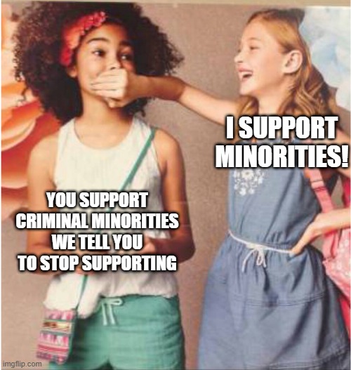 Girl covering other girl's mouth | I SUPPORT MINORITIES! YOU SUPPORT CRIMINAL MINORITIES WE TELL YOU TO STOP SUPPORTING | image tagged in girl covering other girl's mouth | made w/ Imgflip meme maker