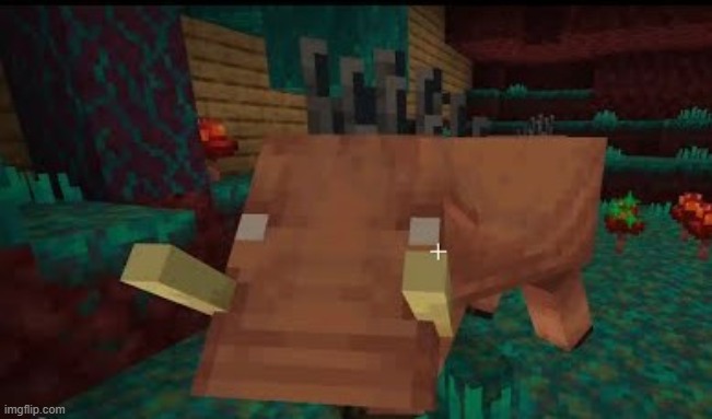 Hoglin | image tagged in hoglin | made w/ Imgflip meme maker