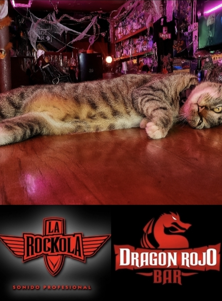 Metal Kat Dragon Rojo Bar Blank Meme Template
