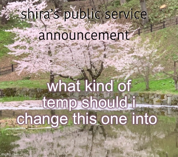 shira’s PSA | what kind of temp should i change this one into | image tagged in shira s psa | made w/ Imgflip meme maker
