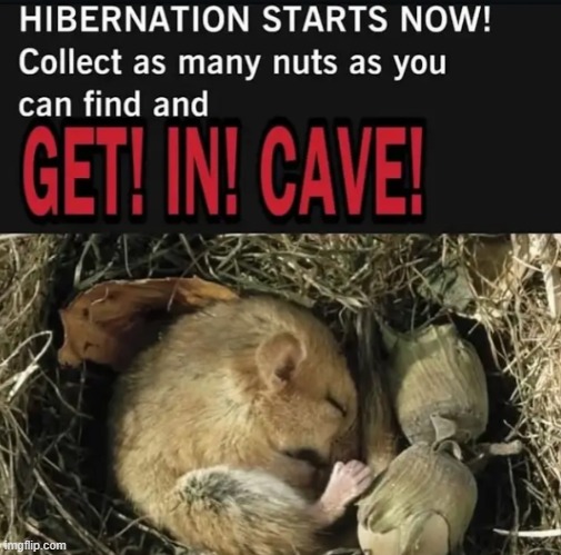 ough | made w/ Imgflip meme maker