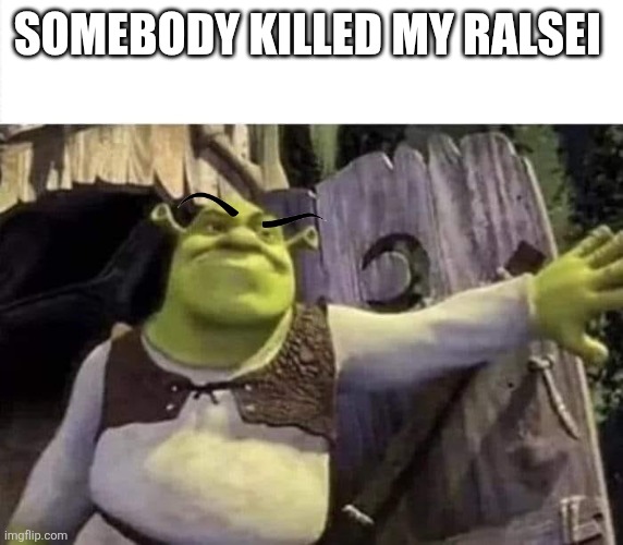 Shrek opens the door | SOMEBODY KILLED MY RALSEI | image tagged in shrek opens the door | made w/ Imgflip meme maker