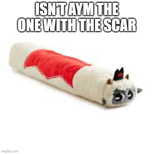 ISN'T AYM THE ONE WITH THE SCAR | image tagged in lambert hotdog | made w/ Imgflip meme maker