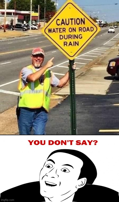 Wow Really? | image tagged in really,you dont say,sarcasm,go figure,funny signs,obviously | made w/ Imgflip meme maker