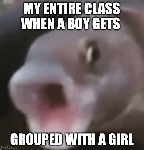 Why is this so true?! | MY ENTIRE CLASS WHEN A BOY GETS; GROUPED WITH A GIRL | image tagged in poggers fish | made w/ Imgflip meme maker