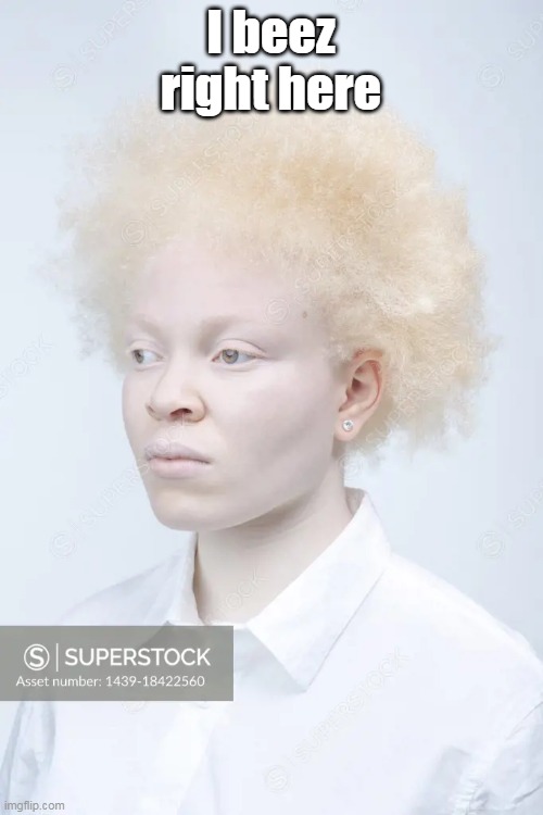 I beez right here | made w/ Imgflip meme maker