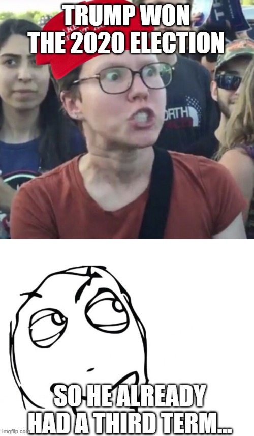 TRUMP WON THE 2020 ELECTION SO HE ALREADY HAD A THIRD TERM... | image tagged in maga loser,hmmm | made w/ Imgflip meme maker