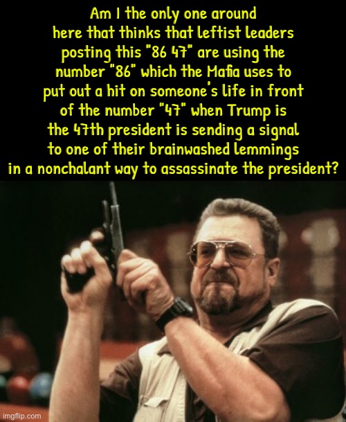 Am I The Only One Around Here | Am I the only one around here that thinks that leftist leaders posting this "86 47" are using the number "86" which the Mafia uses to put out a hit on someone's life in front of the number "47" when Trump is the 47th president is sending a signal to one of their brainwashed lemmings in a nonchalant way to assassinate the president? | image tagged in am i the only one around here,assassination,mafia,liberal logic,coincidence i think not,brainwashed | made w/ Imgflip meme maker