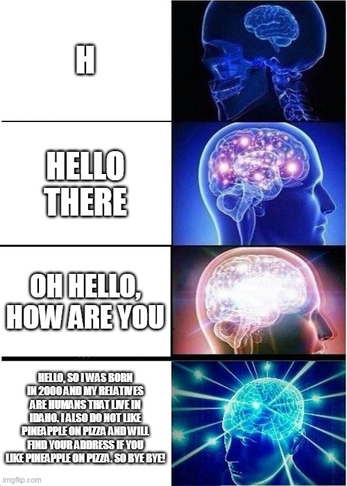 makes sense | H; HELLO THERE; OH HELLO, HOW ARE YOU; HELLO, SO I WAS BORN IN 2000 AND MY RELATIVES ARE HUMANS THAT LIVE IN IDAHO. I ALSO DO NOT LIKE PINEAPPLE ON PIZZA AND WILL FIND YOUR ADDRESS IF YOU LIKE PINEAPPLE ON PIZZA. SO BYE BYE! | image tagged in memes,expanding brain | made w/ Imgflip meme maker