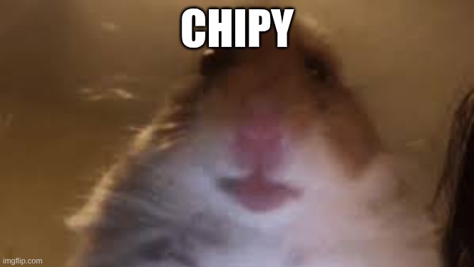 chipy | CHIPY | image tagged in china | made w/ Imgflip meme maker
