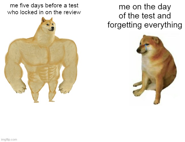 Buff Doge vs. Cheems | me five days before a test who locked in on the review; me on the day of the test and forgetting everything | image tagged in memes,buff doge vs cheems | made w/ Imgflip meme maker