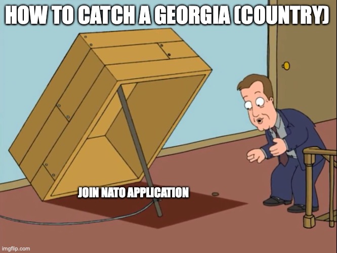 how to catch | HOW TO CATCH A GEORGIA (COUNTRY); JOIN NATO APPLICATION | image tagged in how to catch | made w/ Imgflip meme maker