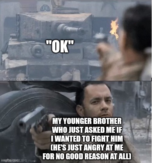 Why are they like that | "OK"; MY YOUNGER BROTHER WHO JUST ASKED ME IF I WANTED TO FIGHT HIM (HE'S JUST ANGRY AT ME FOR NO GOOD REASON AT ALL) | image tagged in tom hanks shooting a tank,siblings | made w/ Imgflip meme maker