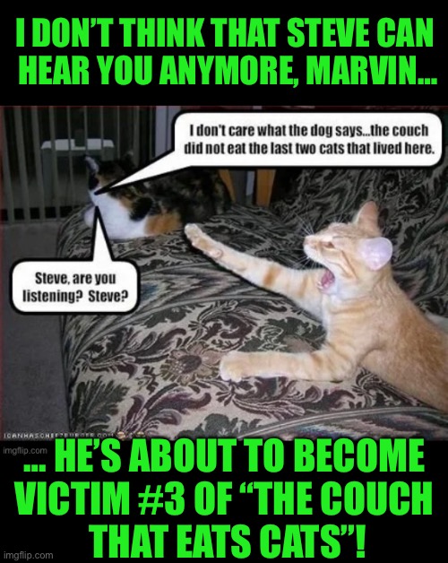 You’re next, Marvin… | I DON’T THINK THAT STEVE CAN 
HEAR YOU ANYMORE, MARVIN…; … HE’S ABOUT TO BECOME 
VICTIM #3 OF “THE COUCH 
THAT EATS CATS”! | image tagged in cats,couch,eats cats,3rd victim,sreve,marvin | made w/ Imgflip meme maker