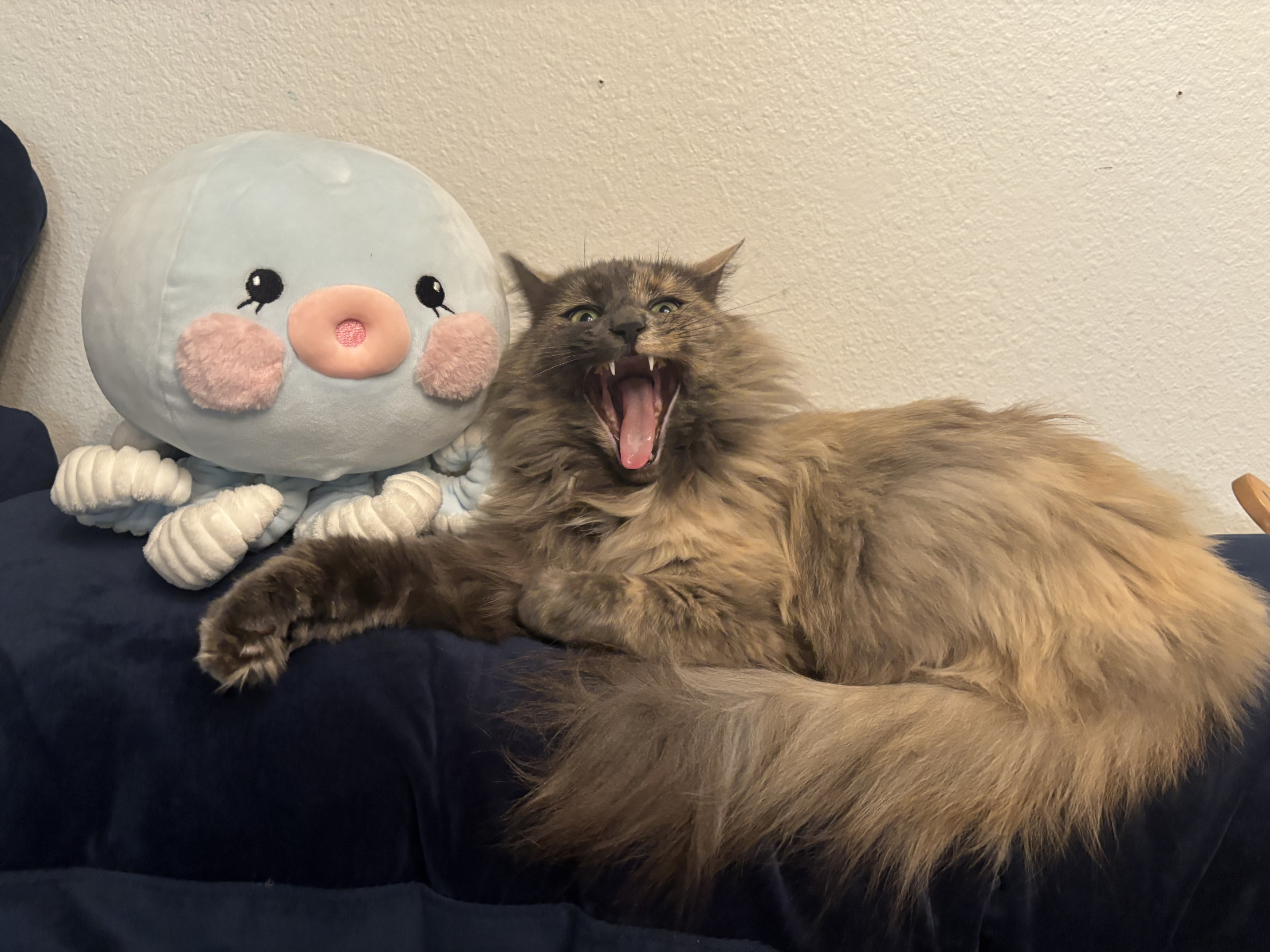 Pookie Blank Meme Template