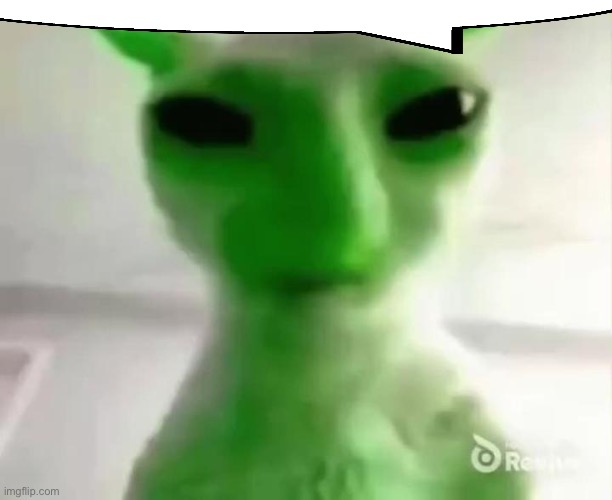 goofy ahh alien cat | image tagged in goofy ahh alien cat | made w/ Imgflip meme maker