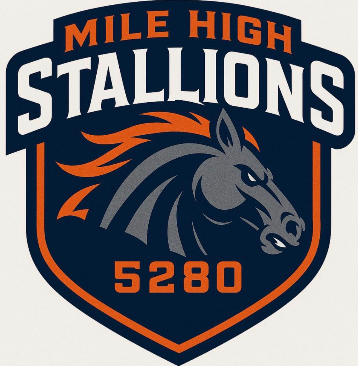 Mile High Stallions Blank Meme Template