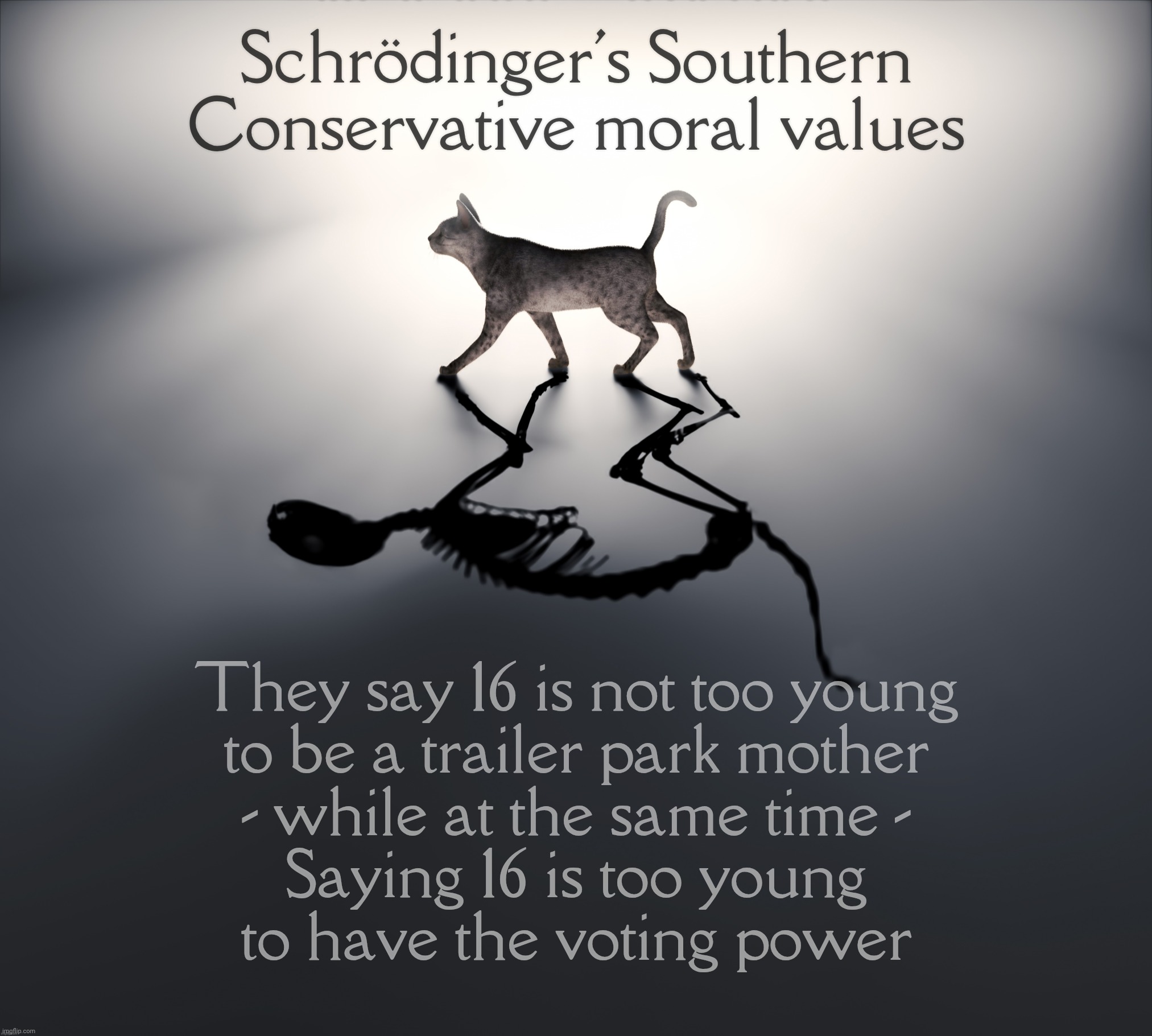 Schrodinger's Cat | Schrödinger's Southern
Conservative moral values; They say 16 is not too young
to be a trailer park mother
- while at the same time -
Saying 16 is too young
to have the voting power | image tagged in schrodinger's cat | made w/ Imgflip meme maker