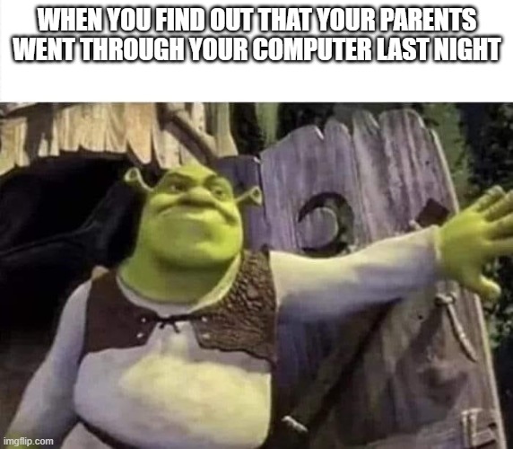Shrek opens the door | WHEN YOU FIND OUT THAT YOUR PARENTS WENT THROUGH YOUR COMPUTER LAST NIGHT | image tagged in shrek opens the door,memes,shrek | made w/ Imgflip meme maker