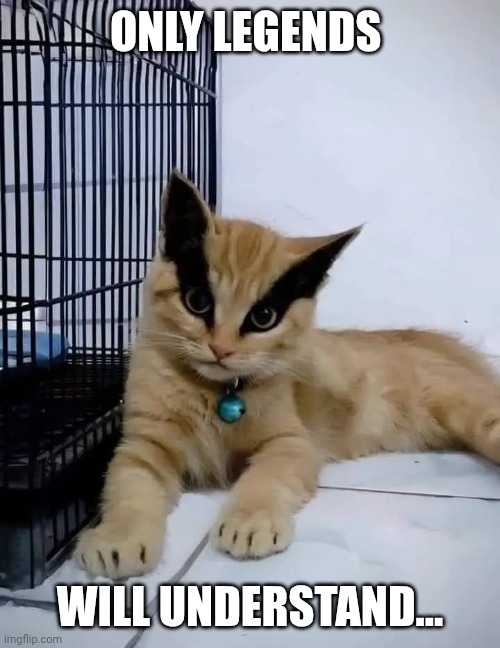 ONLY LEGENDS; WILL UNDERSTAND... | made w/ Imgflip meme maker