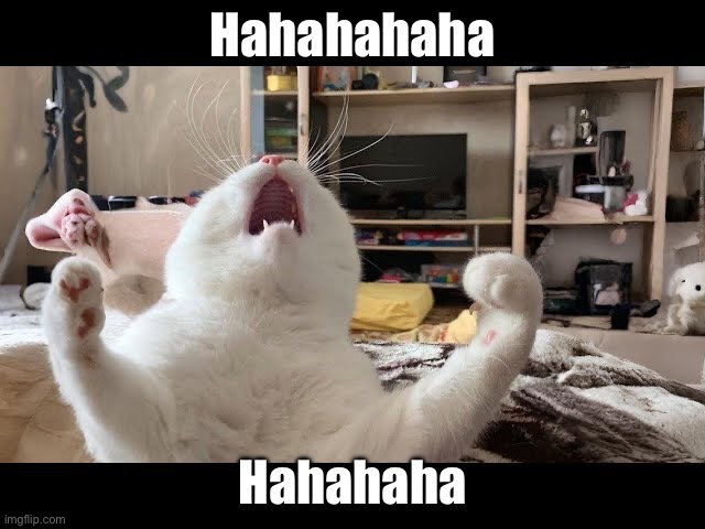 Hahahahaha Hahahaha | made w/ Imgflip meme maker