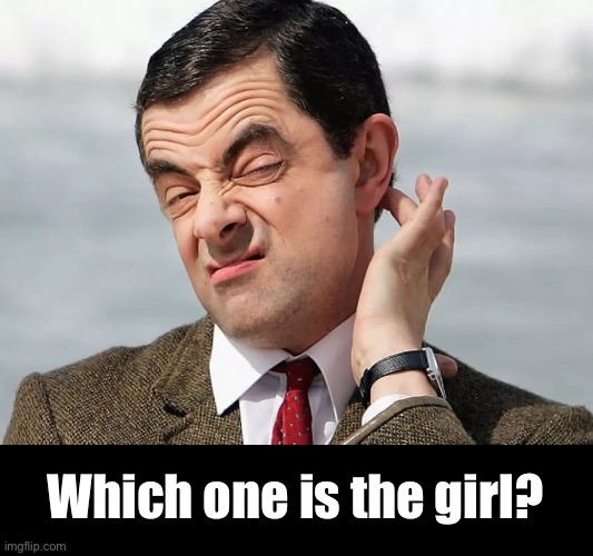 Which one is the girl? | made w/ Imgflip meme maker