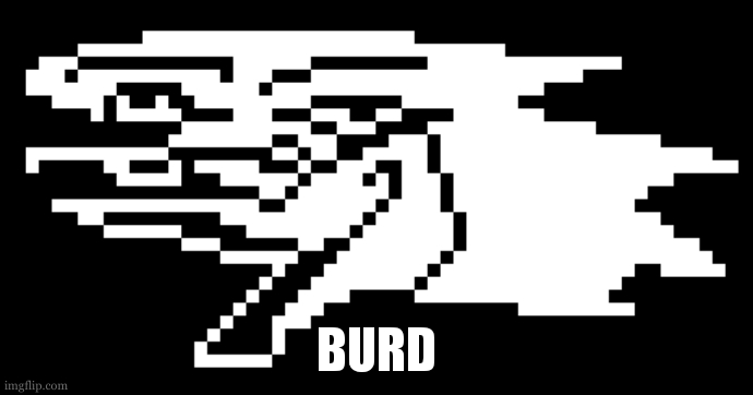 Berdly | BURD | image tagged in berdly | made w/ Imgflip meme maker