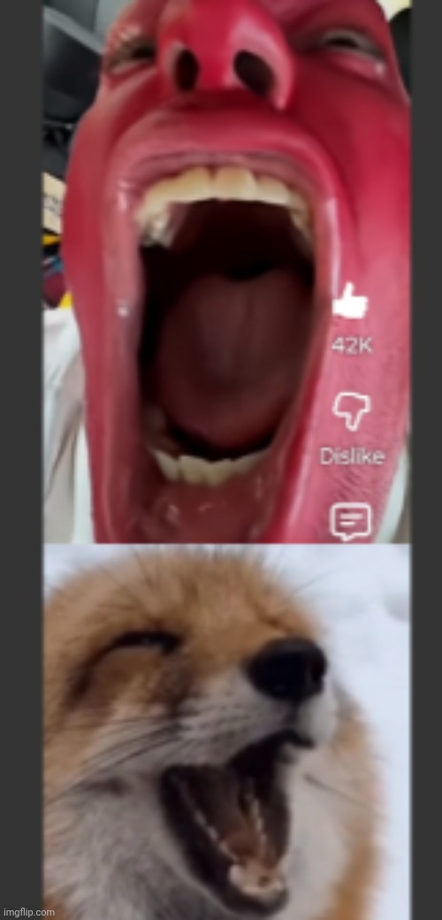 References I'm using for my next drawing | image tagged in daniel hentschel | made w/ Imgflip meme maker