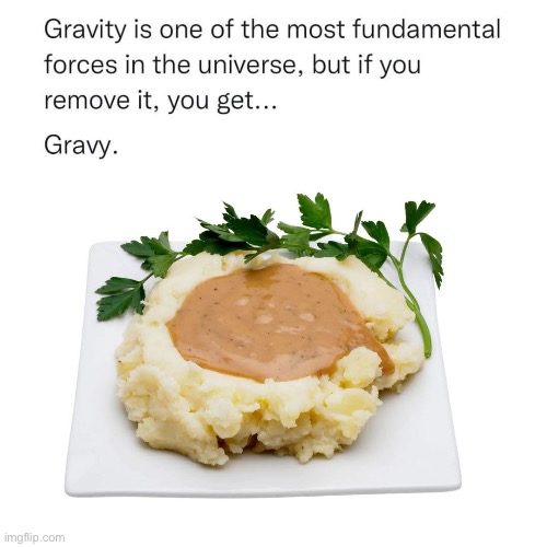 Gravity to Gravy | image tagged in gravity,gravy,bad pun,science | made w/ Imgflip meme maker