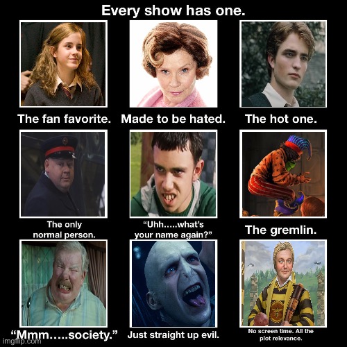 Harry Potter has several characters | image tagged in harry potter | made w/ Imgflip meme maker