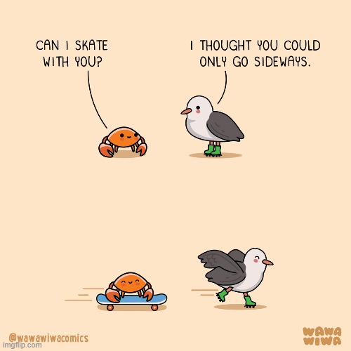 image tagged in crab,seagull,skating,rollerskates,skateboard,skateboarding | made w/ Imgflip meme maker