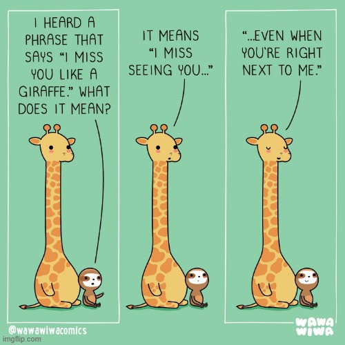 image tagged in giraffe,sloth,phrase,i miss you like a giraffe,friend,aww | made w/ Imgflip meme maker